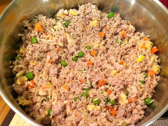 Lamb and Rice Dog Food
