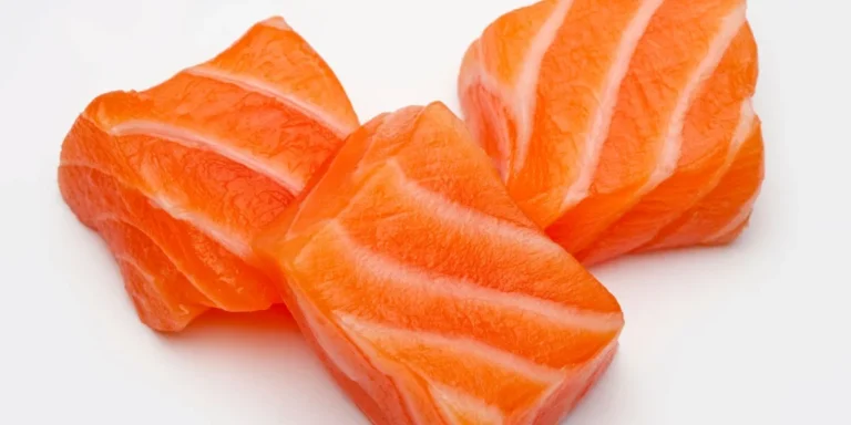 salmon dog food